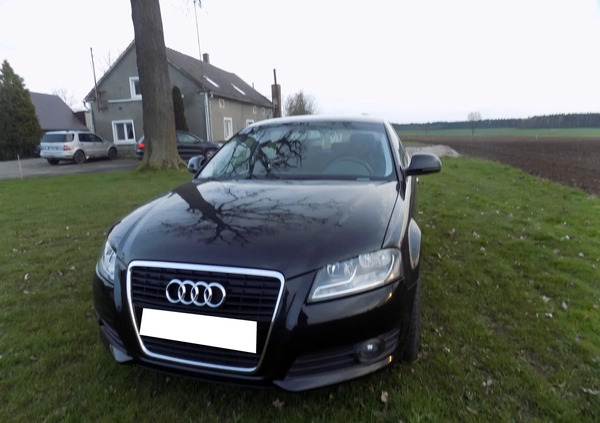 Audi A3 cena 26900 przebieg: 164000, rok produkcji 2010 z Szprotawa małe 407